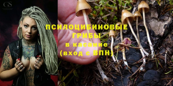 ПСИЛОЦИБИНОВЫЕ ГРИБЫ Зеленодольск