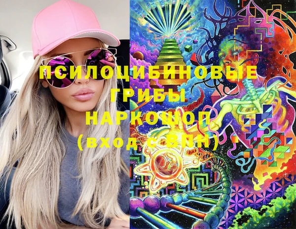 ПСИЛОЦИБИНОВЫЕ ГРИБЫ Зеленодольск