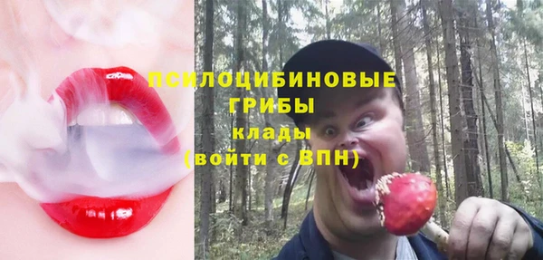 тгк Зеленокумск