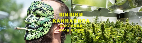mdpv Дубна