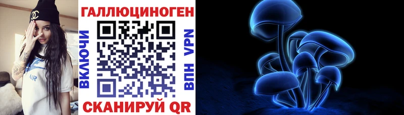 OMG вход  Ипатово  Галлюциногенные грибы GOLDEN TEACHER 