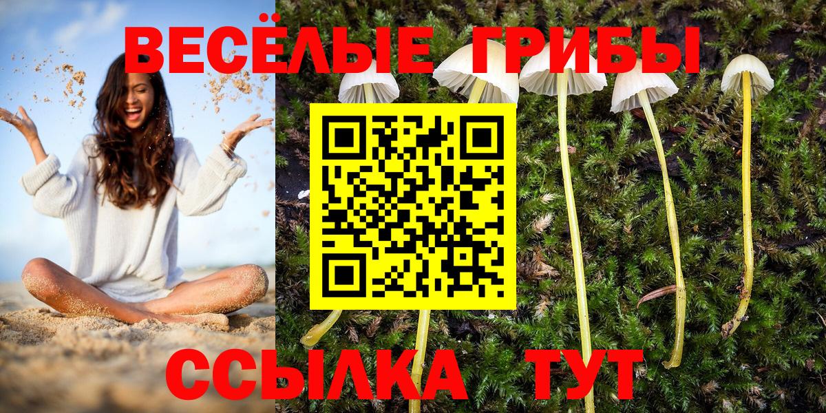 Псилоцибиновые грибы MAGIC MUSHROOMS Ипатово