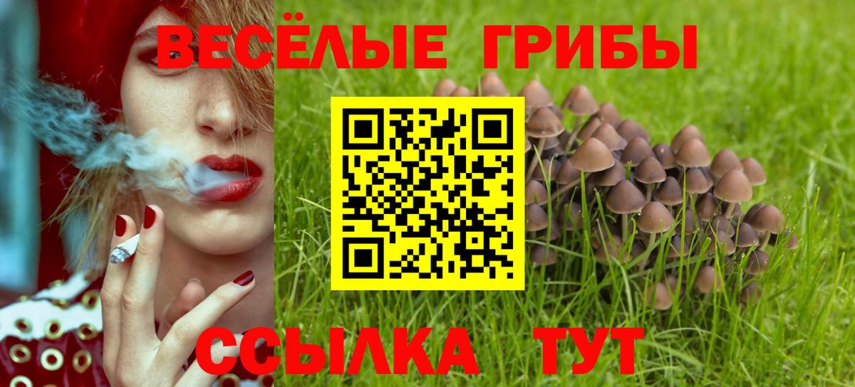 МЕФ   Ипатово  Вход с VPN  МЕТ  Канабис  КОКАИН 