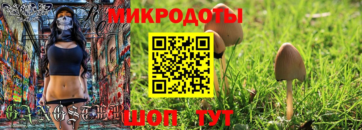 Ипатово  Галлюциногенные грибы прущие грибы  Вход с VPN 